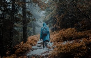 A back view of a backpacker in a raincoat walking on a rocky path in an autumn forest